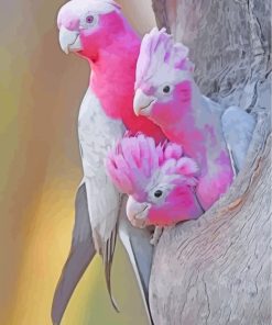 Galah Family Diamond Painting