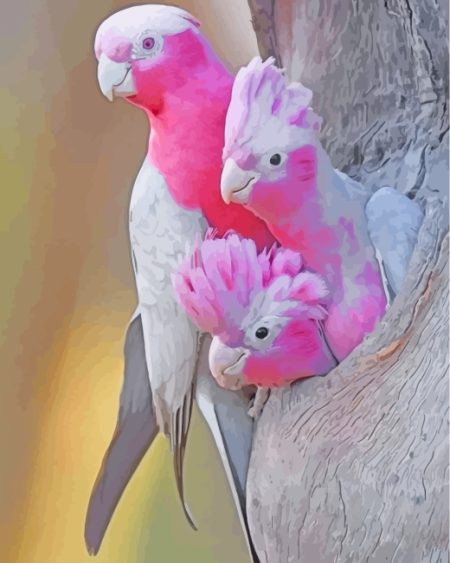 Galah Family Diamond Painting