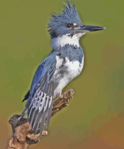 Grey Belted Kingfisher Bird Diamond Painting