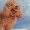 Happy Poodle Diamond Painting