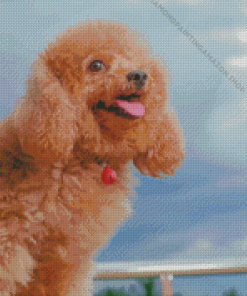 Happy Poodle Diamond Painting