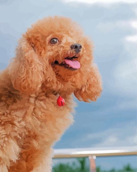 Happy Poodle Diamond Painting