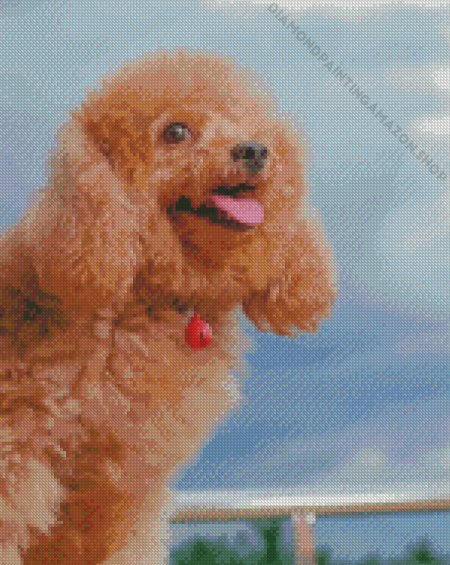 Happy Poodle Diamond Painting