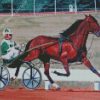 Harness Horse Race Diamond Painting