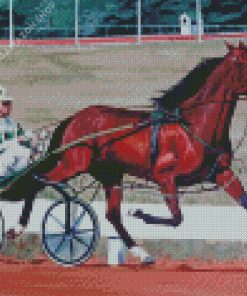 Harness Horse Race Diamond Painting