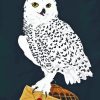 Harry Potter Hedwig Owl Diamond Painting