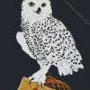 Harry Potter Hedwig Owl Diamond Painting