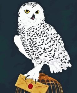 Harry Potter Hedwig Owl Diamond Painting