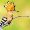 Hoopoe On Stick Diamond Painting