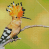 Hoopoe On Stick Diamond Painting