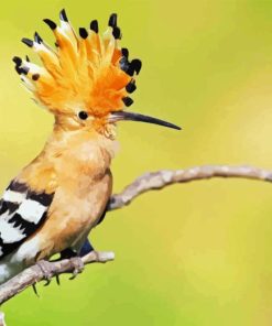 Hoopoe On Stick Diamond Painting