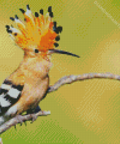 Hoopoe On Stick Diamond Painting