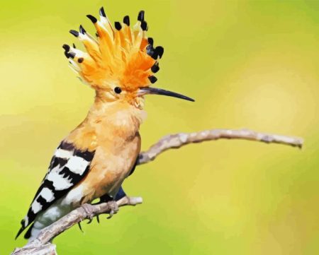 Hoopoe On Stick Diamond Painting