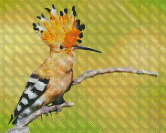 Hoopoe On Stick Diamond Painting