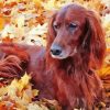 Irish Setter Dog In Leaves Diamond Painting