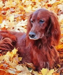 Irish Setter Dog In Leaves Diamond Painting