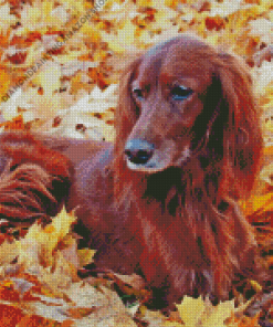 Irish Setter Dog In Leaves Diamond Painting