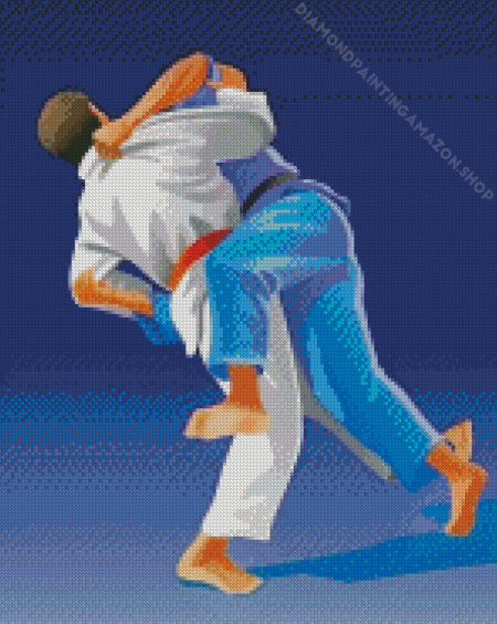Judoka Illustration Diamond Painting