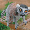 Lemur Animal Diamond Painting