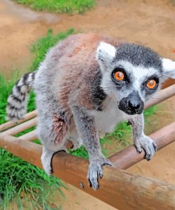 Lemur Animal Diamond Painting