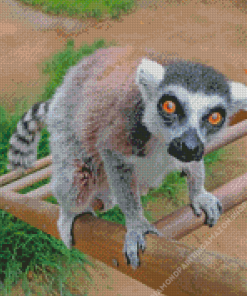 Lemur Animal Diamond Painting