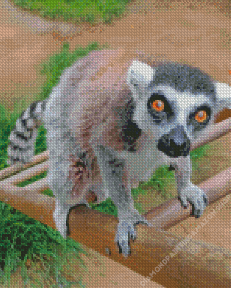 Lemur Animal Diamond Painting