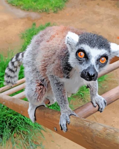 Lemur Animal Diamond Painting