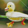 Little Duck Swimming Diamond Painting