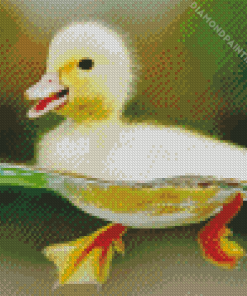 Little Duck Swimming Diamond Painting