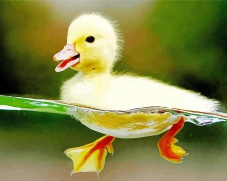 Little Duck Swimming Diamond Painting