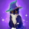 Magical Cat Art Diamond Painting