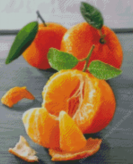 Mandarin Fruit Diamond Painting
