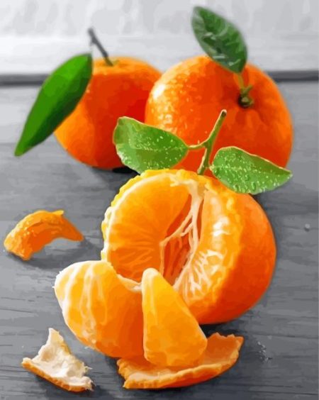 Mandarin Fruit Diamond Painting