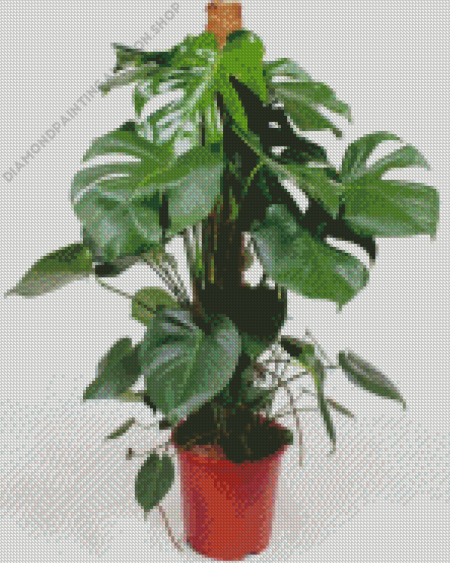 Monstera Plant Diamond Painting