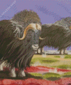 Muskox Animals Art Diamond Painting