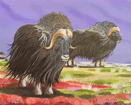 Muskox Animals Art Diamond Painting