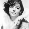 Natalie Wood Actress Diamond Painting