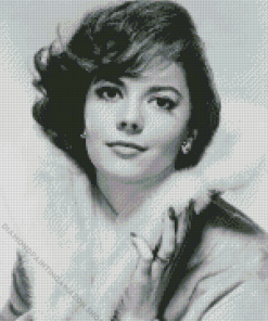 Natalie Wood Actress Diamond Painting