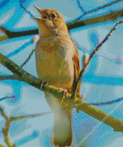 Nightingale On Tree Branch Diamond Painting