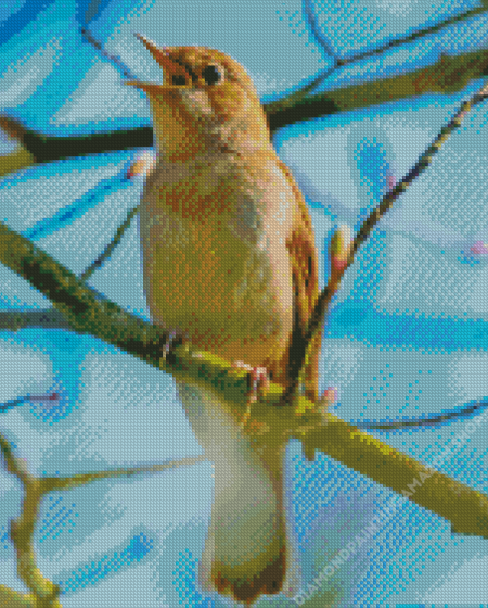 Nightingale On Tree Branch Diamond Painting