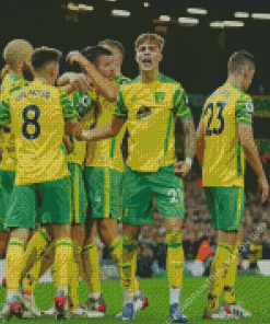 Norwich City Fc Team Diamond Painting