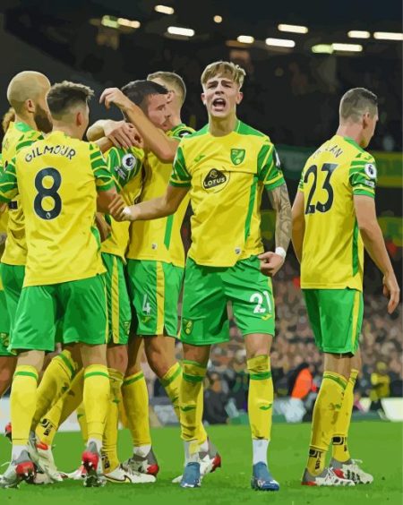 Norwich City Fc Team Diamond Painting