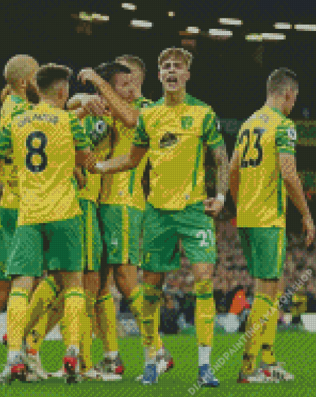 Norwich City Fc Team Diamond Painting