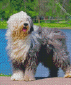 Old English Sheepdog Diamond Painting