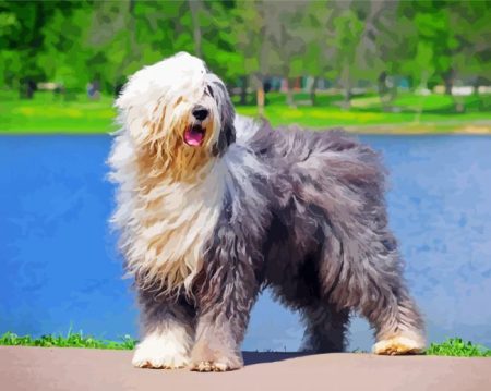Old English Sheepdog Diamond Painting