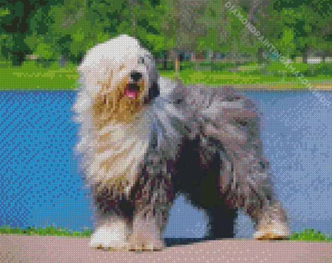 Old English Sheepdog Diamond Painting