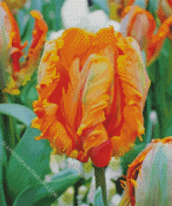 Orange Parrot Tulip Diamond Painting