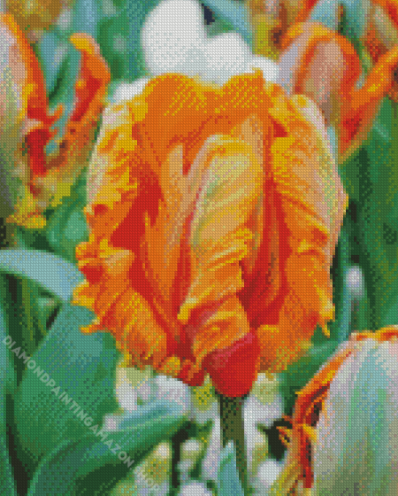 Orange Parrot Tulip Diamond Painting