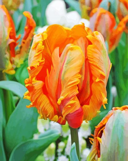 Orange Parrot Tulip Diamond Painting