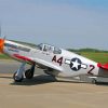 P51 Mustang Red Tail Diamond Painting